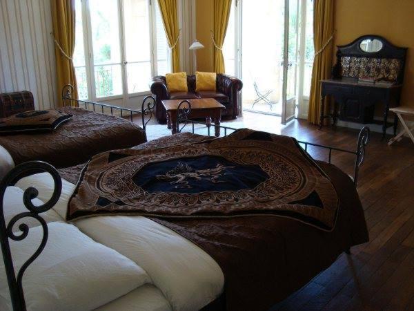 Chambres D'Hotes-Chateau Constant 加尔唐普河畔贝西讷 外观 照片