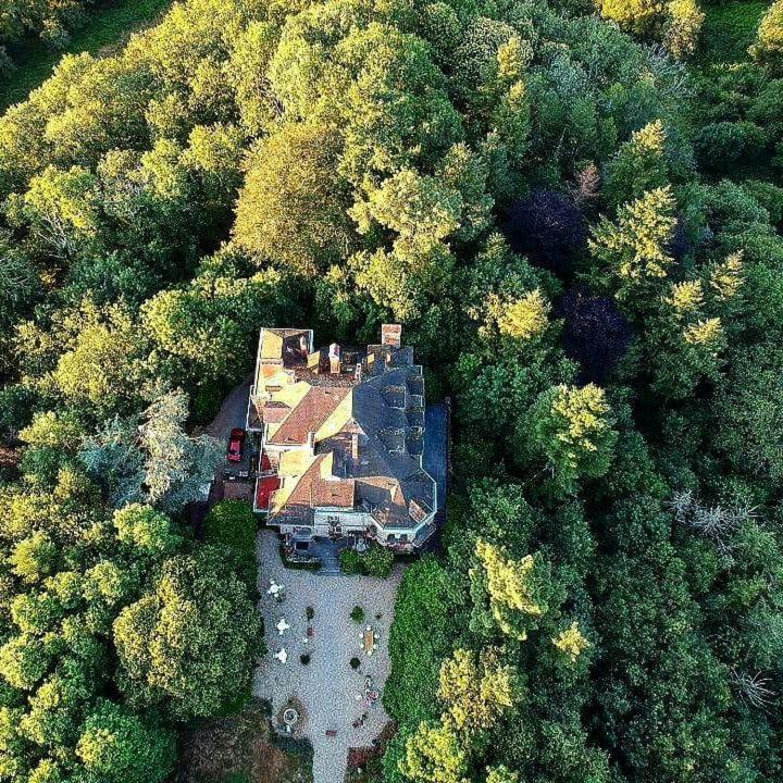 Chambres D'Hotes-Chateau Constant 加尔唐普河畔贝西讷 外观 照片